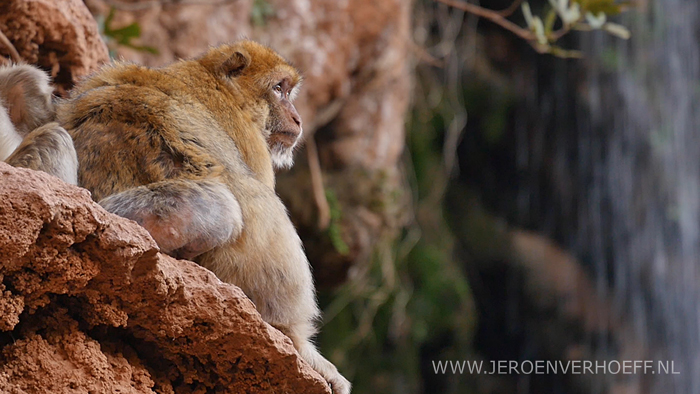 Morocco documentary Jeroen Verhoeff