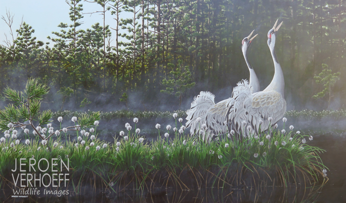 Een nieuwe dag, kraanvogels, schilderij Jeroen Verhoeff