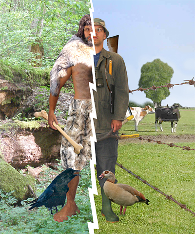 Jeroen Verhoeff Natuurlezing Cultuur of natuurlandschap