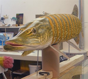 model maken snoek 400