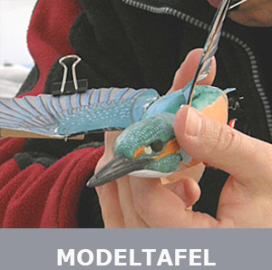 Jeroen Verhoeff Werkwijze IJsvogel Modeltafel