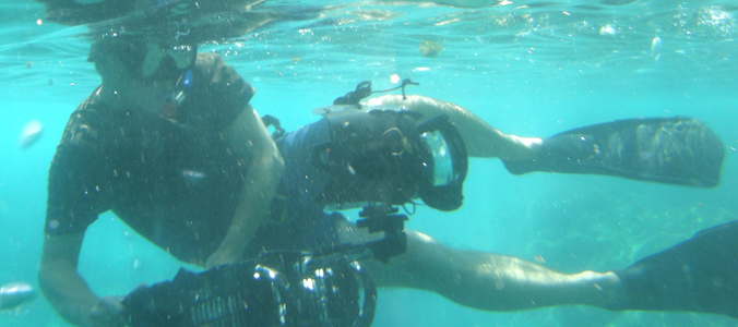 Jeroen Verhoeff filming wildlife under water.