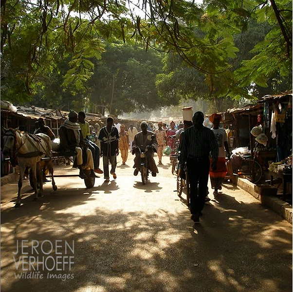 Marktplaats, Gambia, Afrika, foto Jeroen Verhoeff