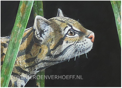 Ocelot, painting Jeroen Verhoeff, detail