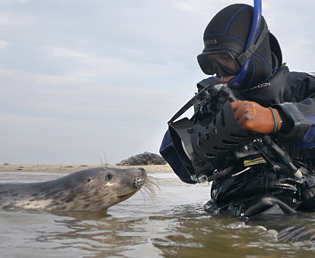 Jeroen Verhoeff Natuurfilm Zeehond