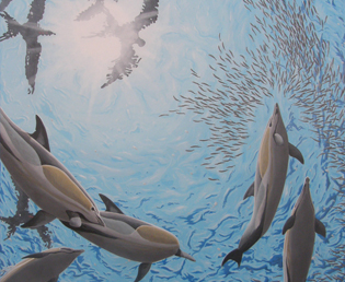 Jeroen Verhoef Plafondschilderij in opdracht Dolfijnen
