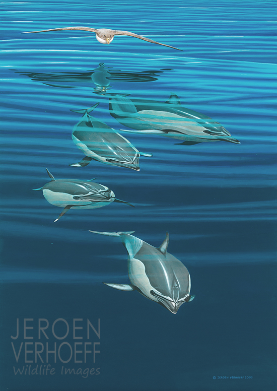‘Twee werelden‘, gewone dolfijnen en kuhl's pijlstormvogel, schilderij Jeroen Verhoeff