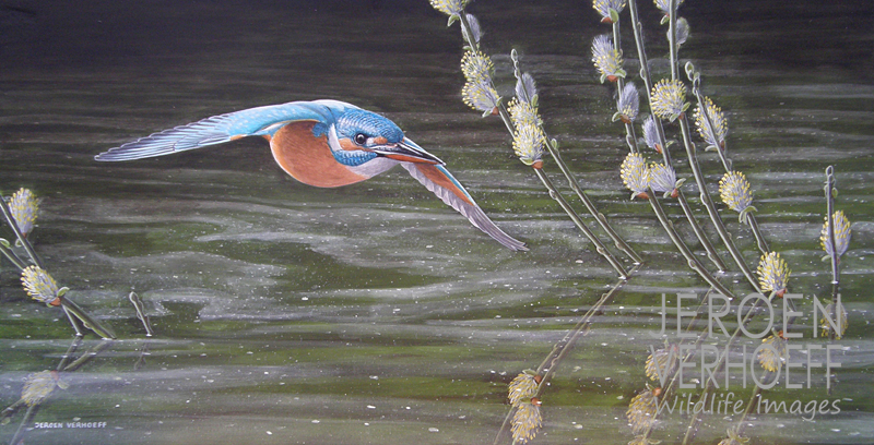 ‘Koninginnevisser‘, ijsvogel schilderij Jeroen Verhoeff