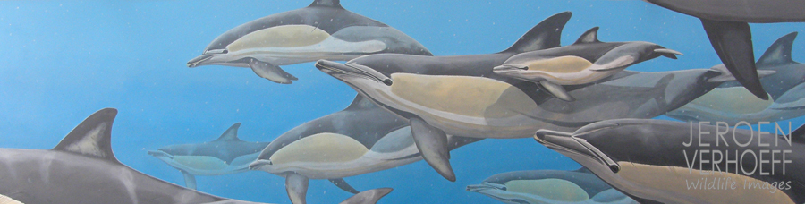 'Kraamvisite', schilderij gewone dolfijnen Jeroen Verhoeff