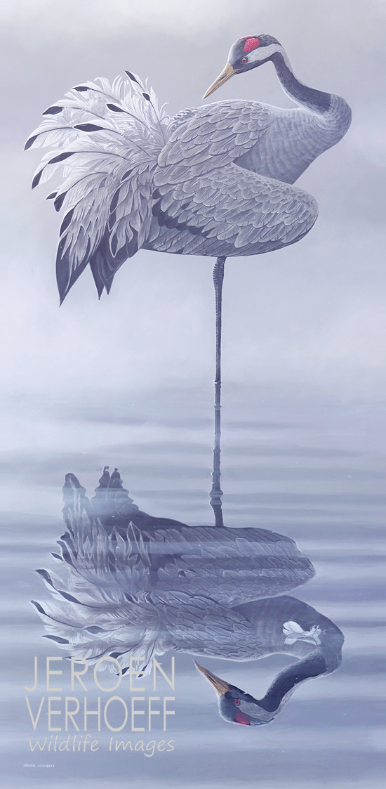 'Poetsend', kraanvogel schilderij Jeroen Verhoeff