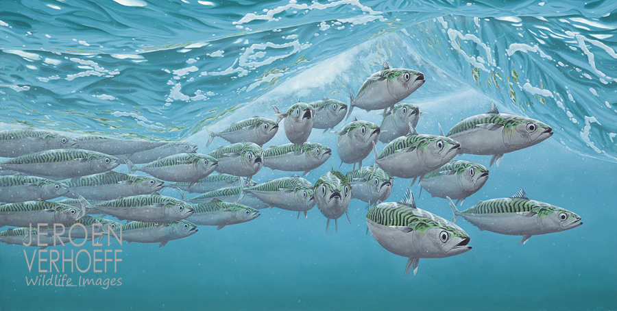 'Groen in blauw', makrelen schilderij Jeroen Verhoeff
