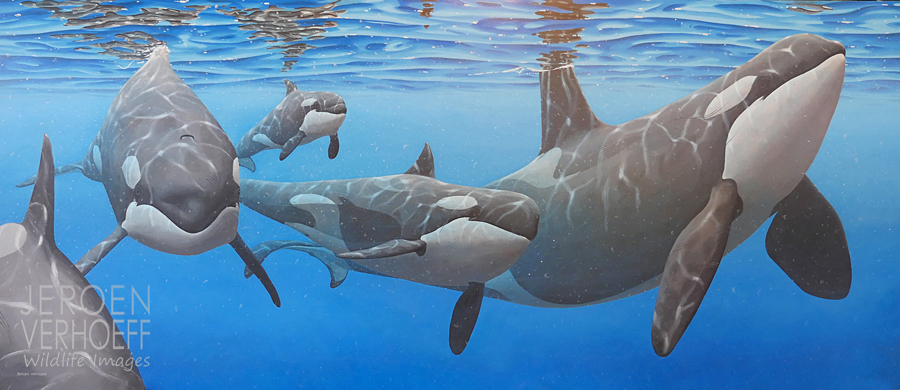 ‘De zwijgzamen’ orka schilderij Jeroen Verhoeff