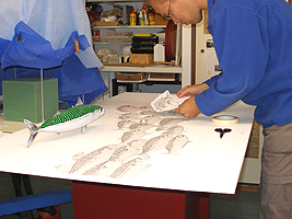 Makreel schilderij werkschets Jeroen Verhoeff
