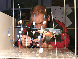 IJsvogel modeltafel Jeroen Verhoeff