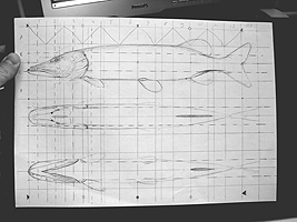 Snoek schilderij studie Jeroen Verhoeff