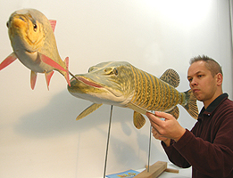 Snoek en ruisvoorn model Jeroen Verhoeff