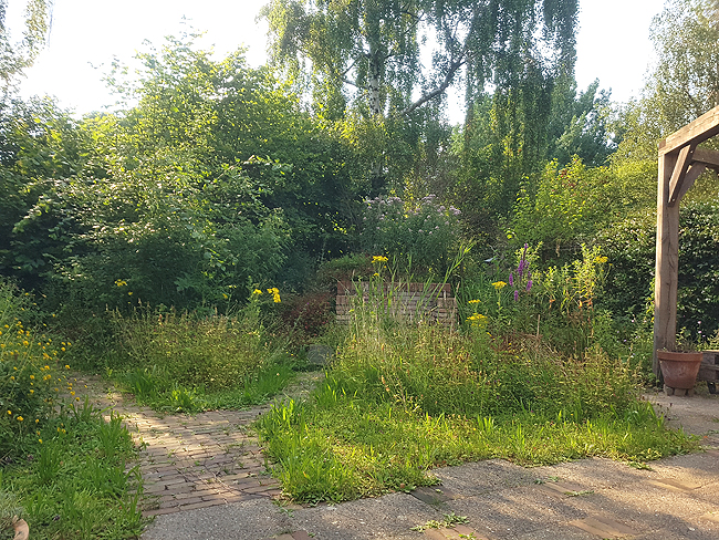 Groene Jeroen natuurtuinontwerpen