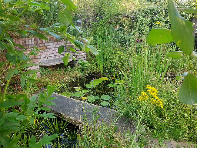 Groene Jeroen natuurtuinontwerpen