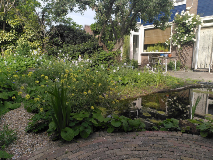 Groene Jeroen natuurtuinontwerpen
